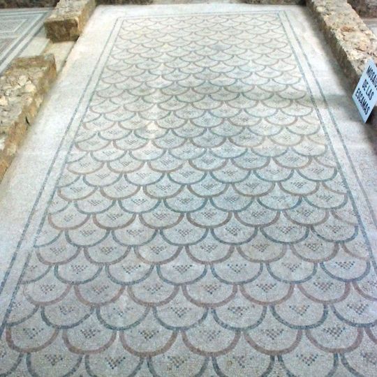 Habitación Nº 23 Mosaico de Escamas Imbricadas