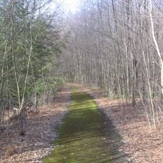 Wykoff Run Natural Area