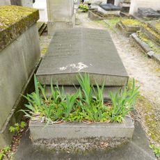 Grave of Ranvier