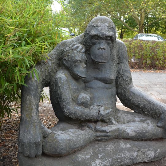 Orang-Utan am Zoo Dresden