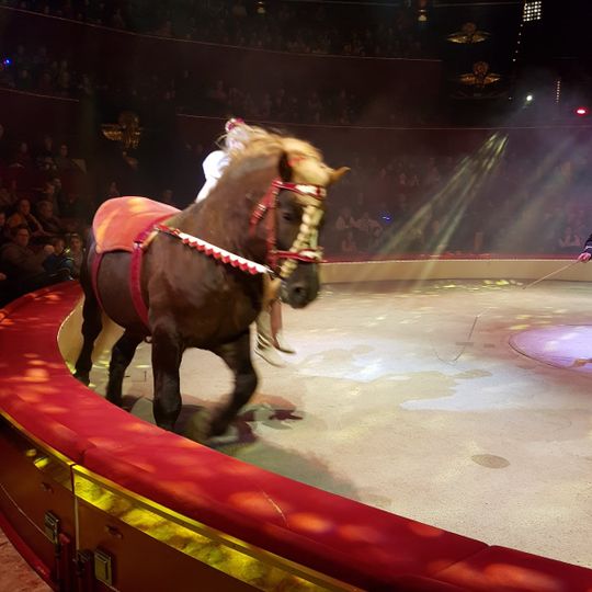 Cirque d'Hiver Bouglione