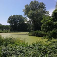 Monumento naturale Bodrio delle Gerre