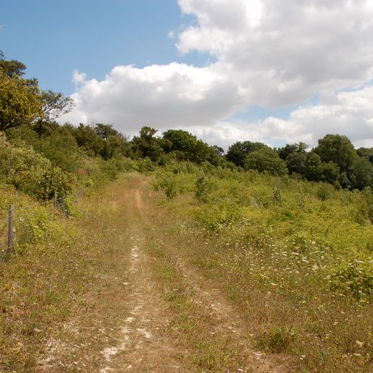 North Downs Way