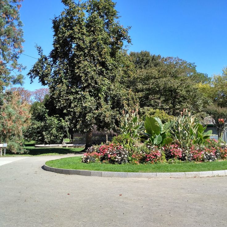 Museo de Historia Natural