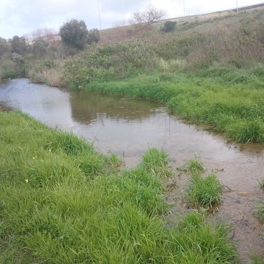 Rezerwat przyrody Nachal Tut
