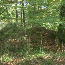 Burgstall Altenthannstein