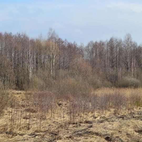 Kulyky nature reserve