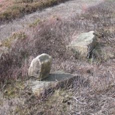 Pair Of Boundary Stones, Approximately 2025 Metres To South Of Home Lowcross At Ngr Nz599 123