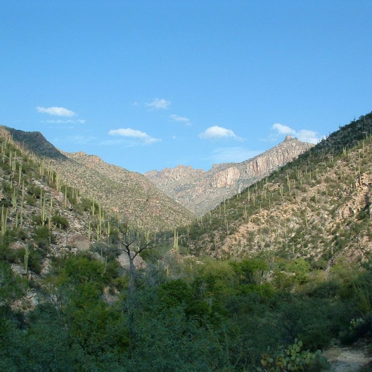Sabino Canyon