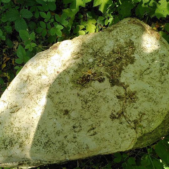 Pierre avec empreintes de chevreuil - La pierre avec les empreintes est assez abimée