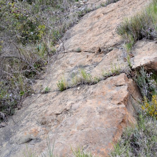 Paleontological site of Valdemurillo