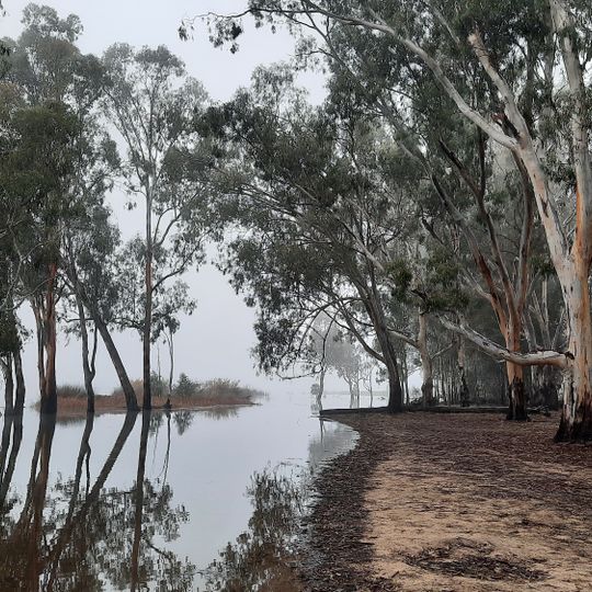 Barmah National Park