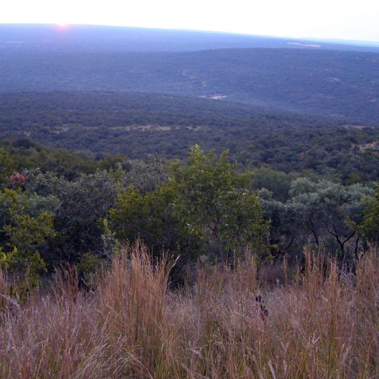 Bushveld