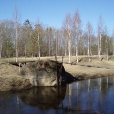 Velna Skroderis