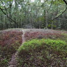 Terrein waarin zeven grafheuvels