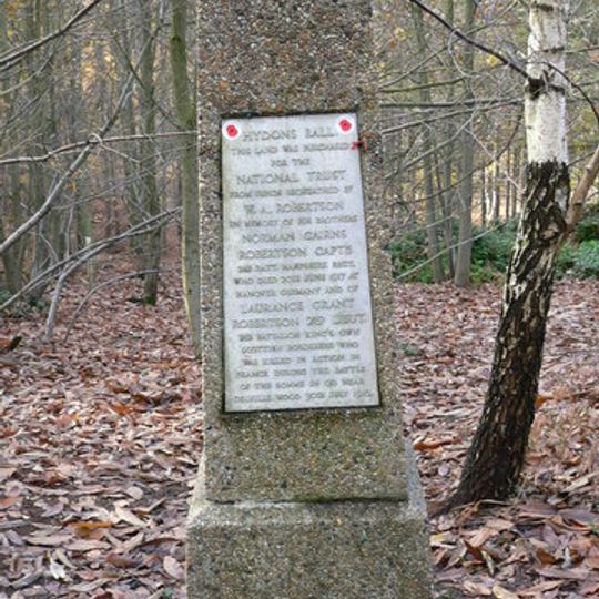 The Robertson War Memorial Bequest Obelisk, Hydon's Ball
