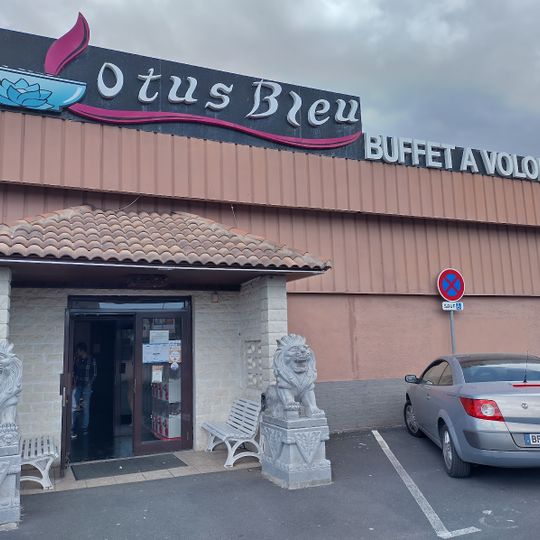 Le Lotus Bleu