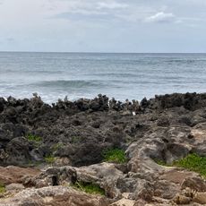 Kauhala