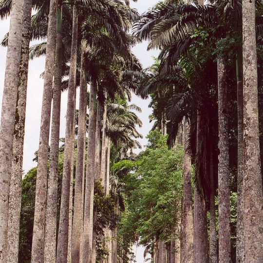 Aburi Botanical Gardens