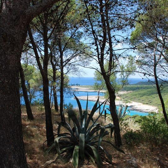 Parc naturel régional de Porto Selvaggio et Palude del Capitano