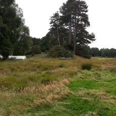 Two bowl barrows 150m south east of the Club House on Petersfield Heath Common, part of the Petersfield Heath Group