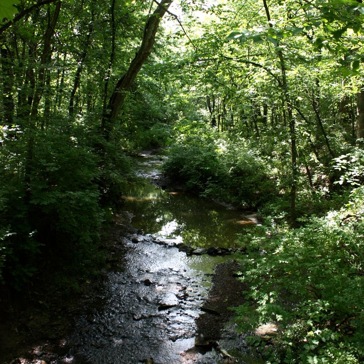 Parque Estatal Knob Noster