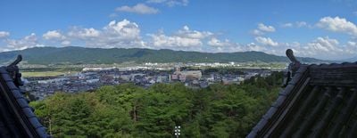 The view 6