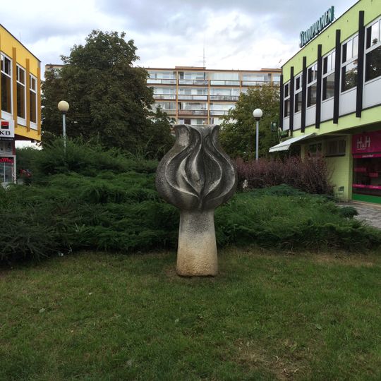 Rozvíjející se květ