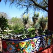 Tucson Botanical Gardens