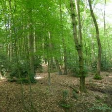 LSG-Quellbereich an der Nordflanke des Toensberges