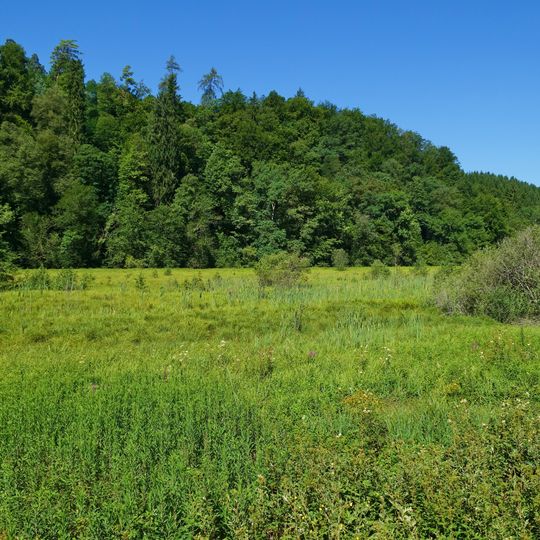 Kapellenhalde–Wüster See