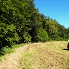 Jagstaltwasser zwischen Kalkhöfe u.Schweighausen