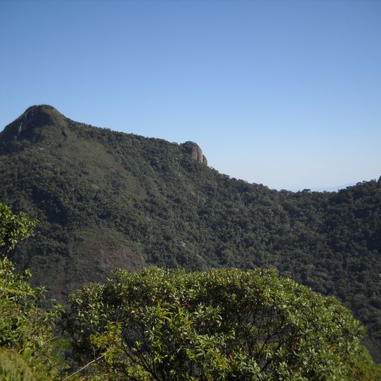 Pico da Tijuca