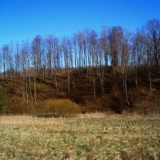 Vadagių piliakalnis