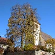 Linde vor der Deufringer Kirche