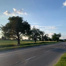 Birnbaumreihe an der Esslinger Straße