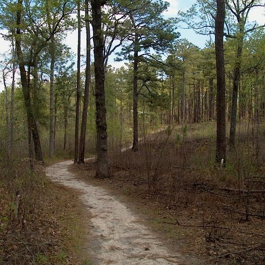 Weymouth Woods-Sandhills Nature Preserve