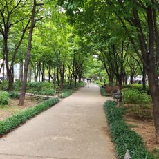 Walking Park