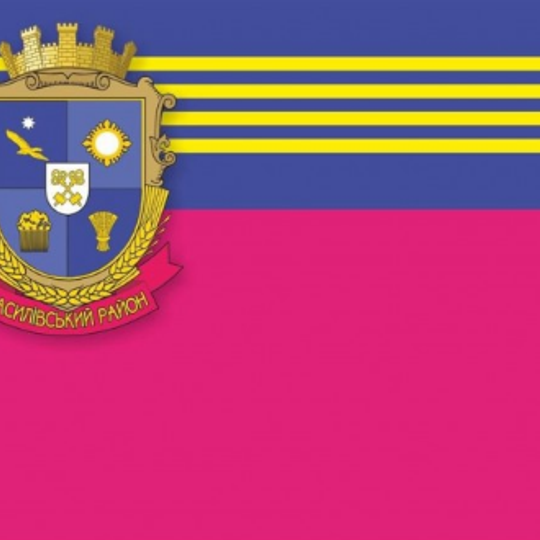 Vasylivka Raion