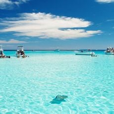 Stingray City Grand Cayman