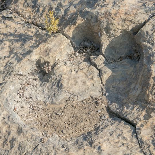 Archaeological Site of Navillas