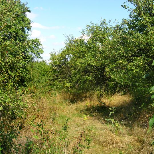 Orchards in Hostivař