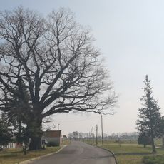 Friedenseiche Bahnsdorf