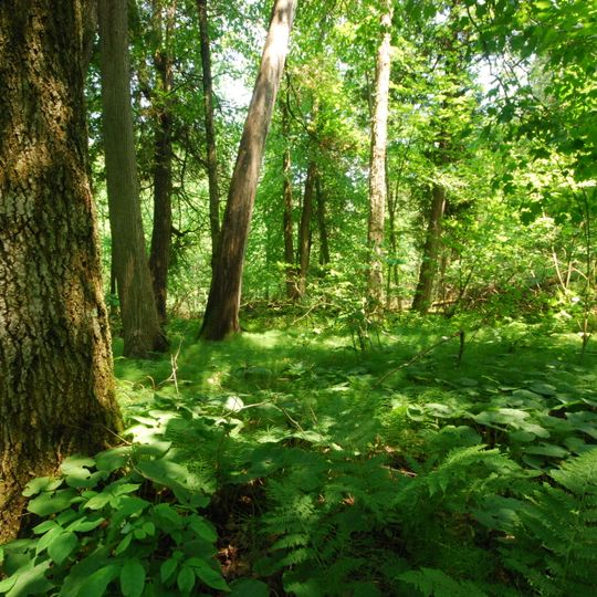 Cherney Maribel Caves County Park