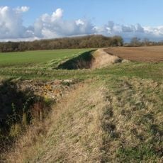 Earthworks of Car Dyke in Park Wood, 175m east of King Street