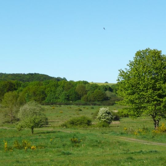 Naturschutzgebiet Kleine Lummersbach bei Cyriaxweimar