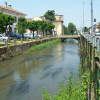 Casarile