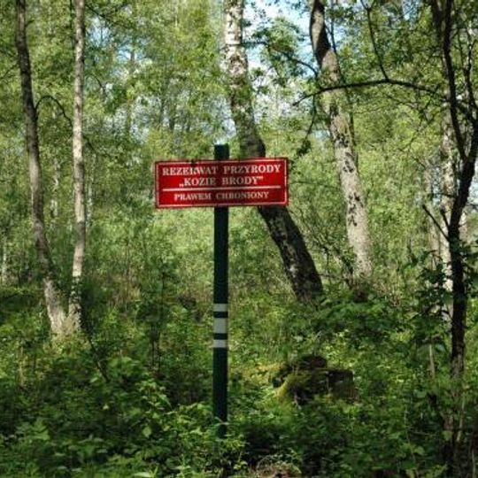 Rezerwat przyrody Kozie Brody