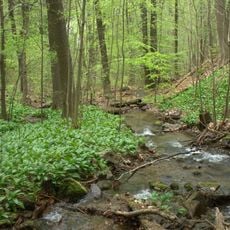 Domaslavické údolí