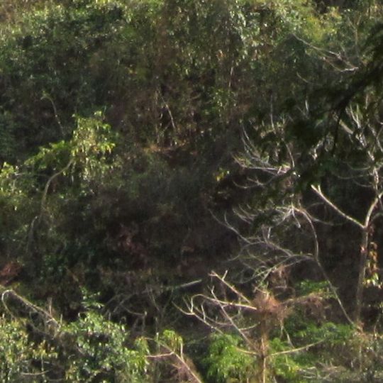 Santhal Pargana division